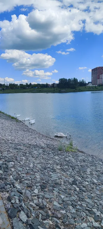 Уютная квартира после ремонта в центре города