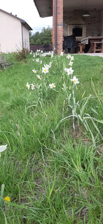 Загородный дом для семейного отдыха или для большой компании