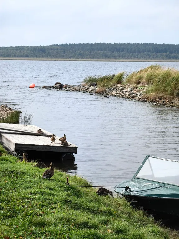 Усадьба ладога-лункулансаари