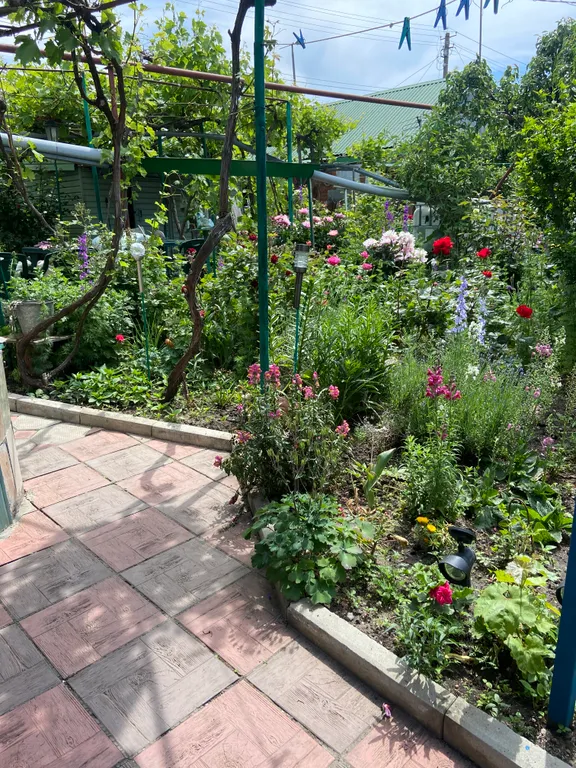 Уютная комната около моря