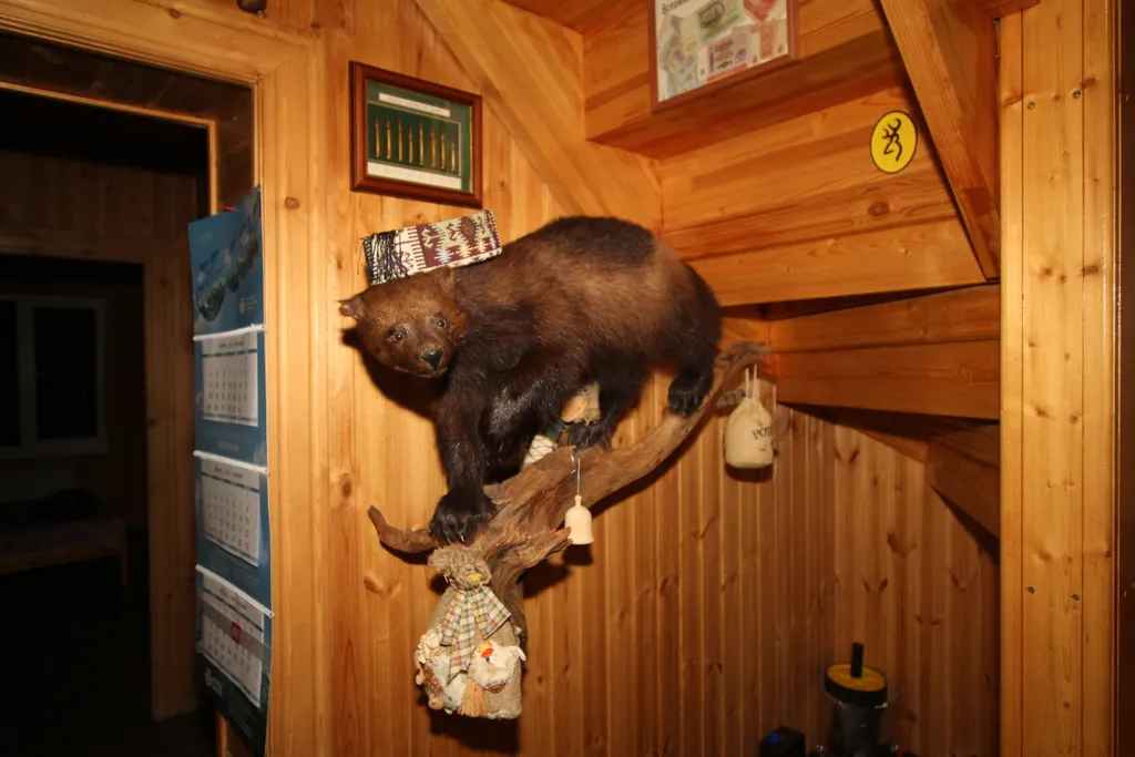 Шикарный дом находится на берегу озера, окруженный хвойным лесом