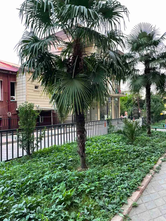 Квартира Квартира в двух шагах от моря — Кобулети