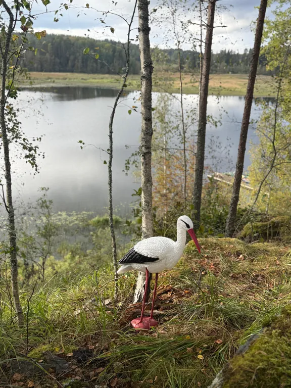 Дом на берегу залива Мусталанлахти