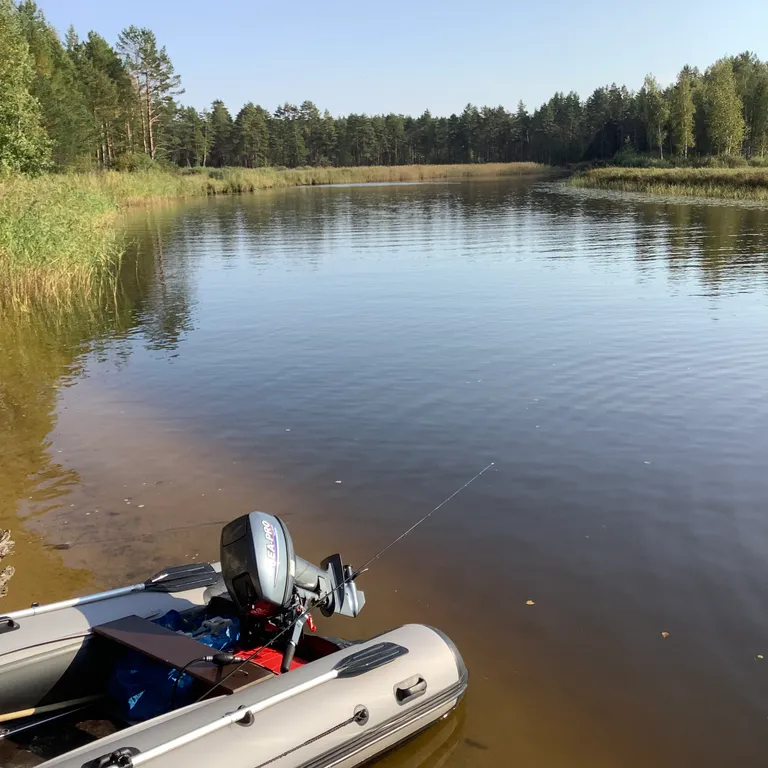 Коттедж Коттедж Селигерское — Березово