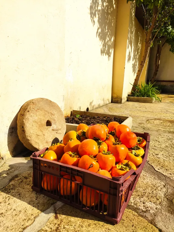 Двухэтажный уютный коттедж на берегу моря с садом