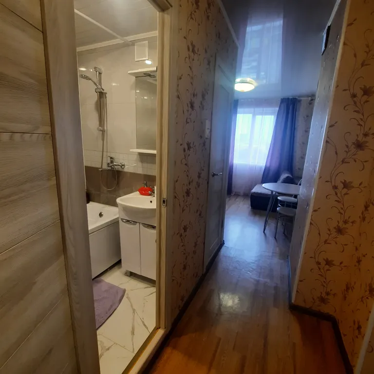 Центр, областной суд, трк горки