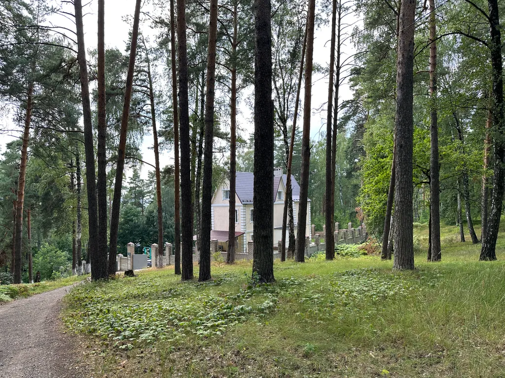 Уютный гостевой дом Лесная Сказка на территории заповедника