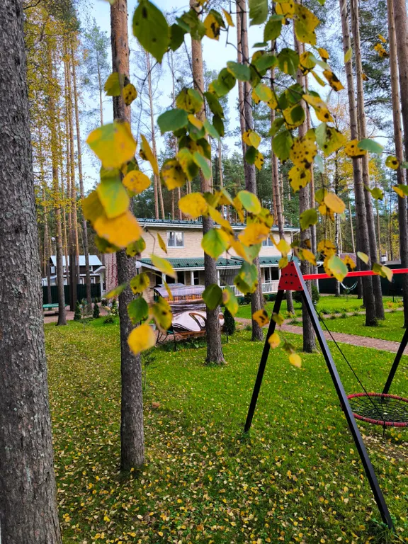 Коттедж Загородный дом с Русской баней — Вырица