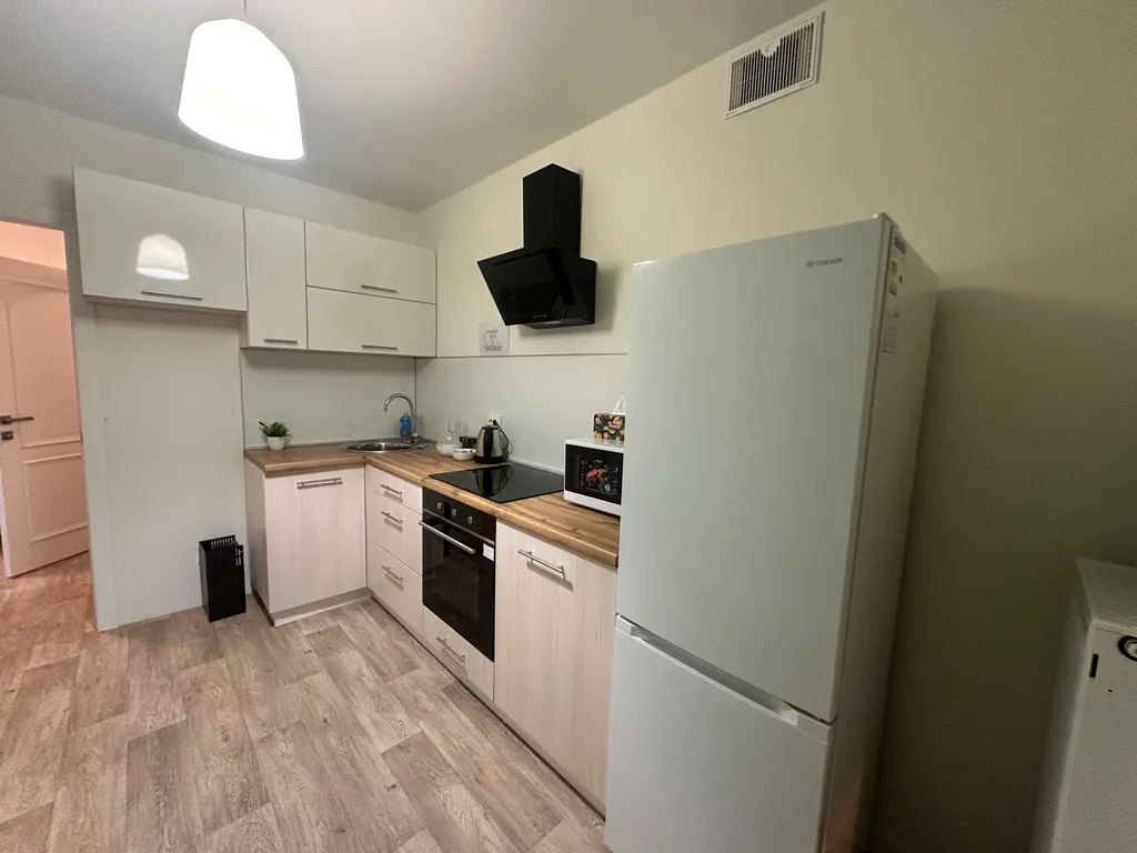 Лада арена, ОЭЗ, Автоваз