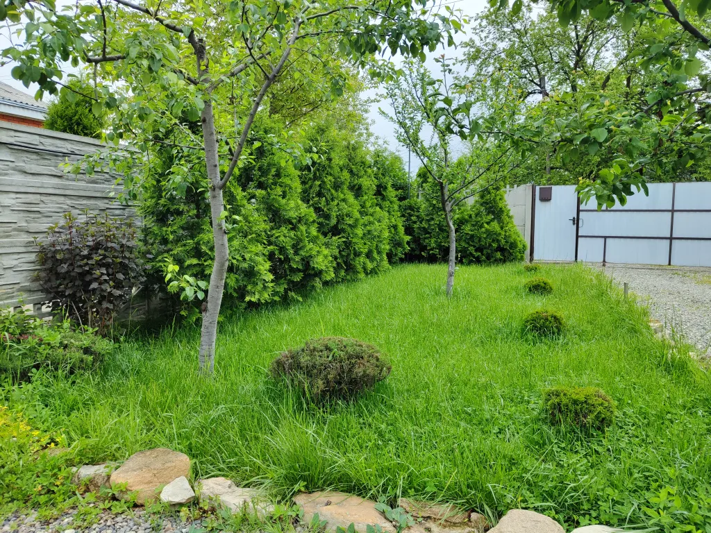 Дом "Тульский пряник", рядом с термальным источником "Псыгупс".