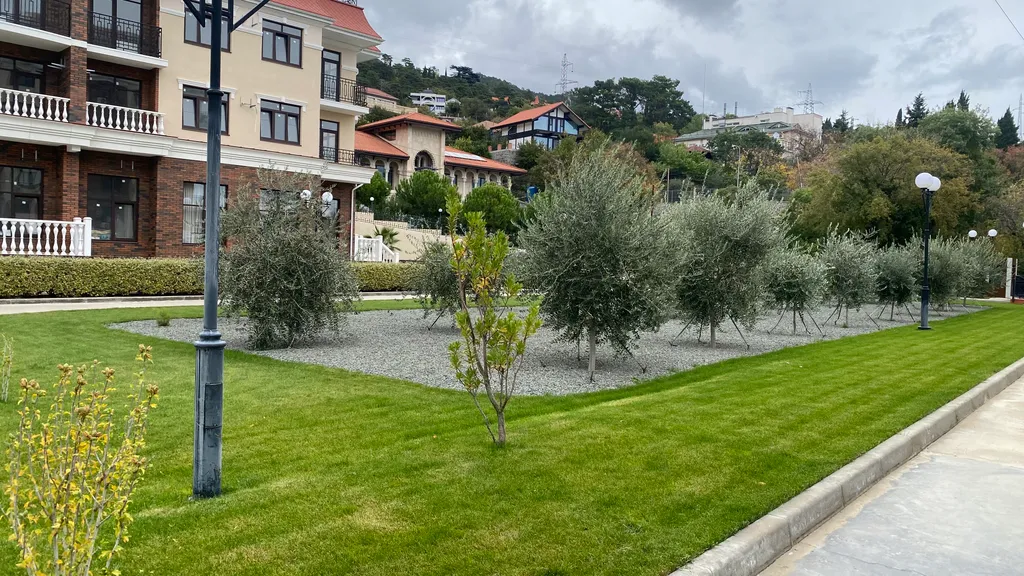 Уютная студия с видом на парк, жк «аврора», зима комфортно