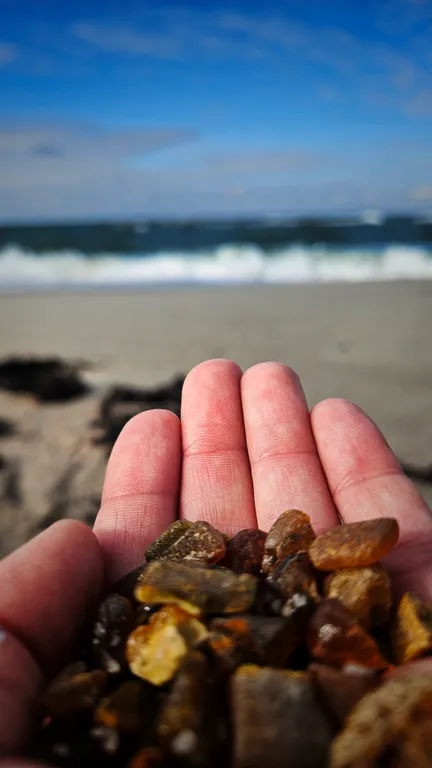 Барнс дача у моря