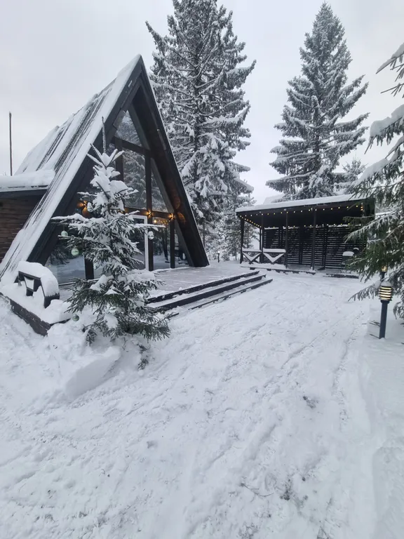 Коттедж Гостевой дом В ЁLКИ — Чална