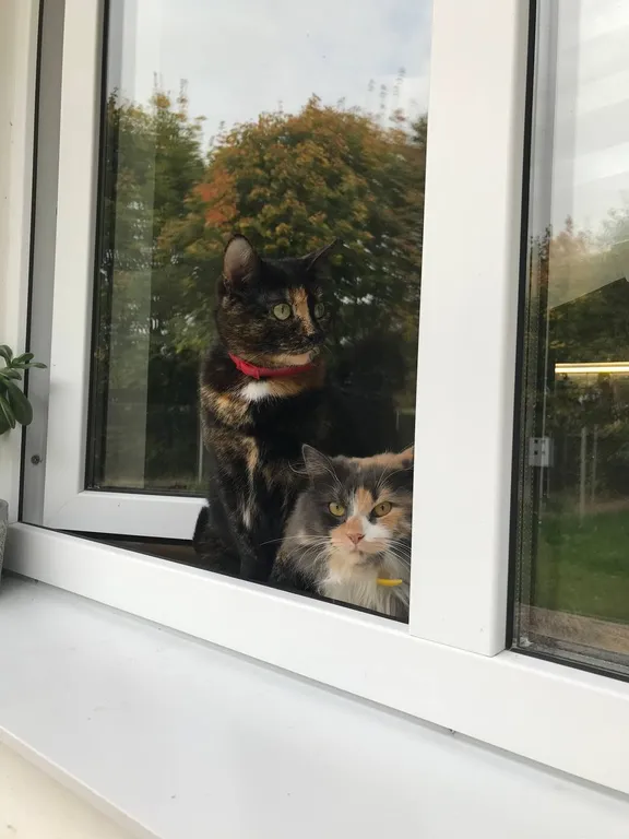 Уютный дом рядом с Минском