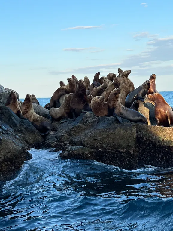 Солнечная, уютная квартира не далеко от моря