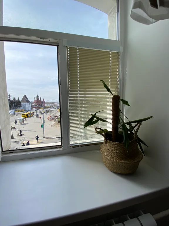 Студия в стиле Сканди с видом на Кремль