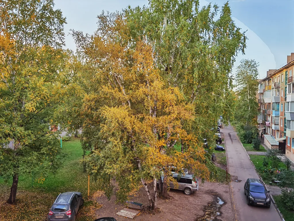 Квартира в центре