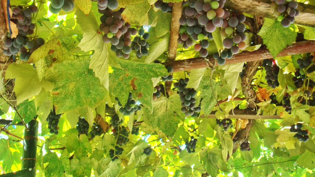 Однокомнатный домик под ключ до 5 человек