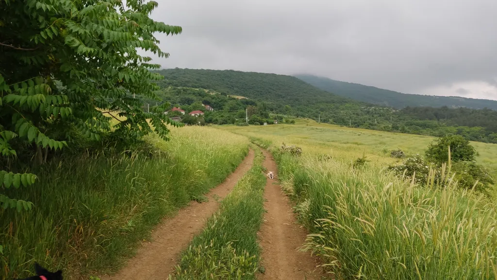 Уютная дача с фантастическими видами и купелью на дровах