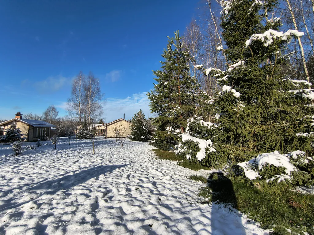 Русская усадьба с баней со швейцарским флёром