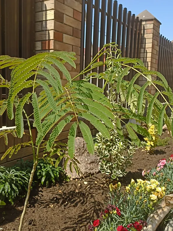 Комфортный номер с 3-мя кроватями