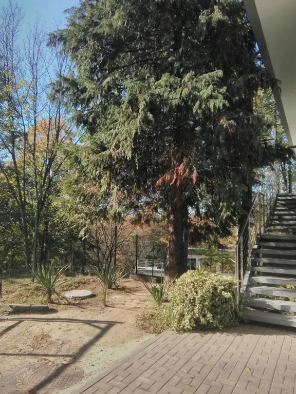 Апартаменты на море