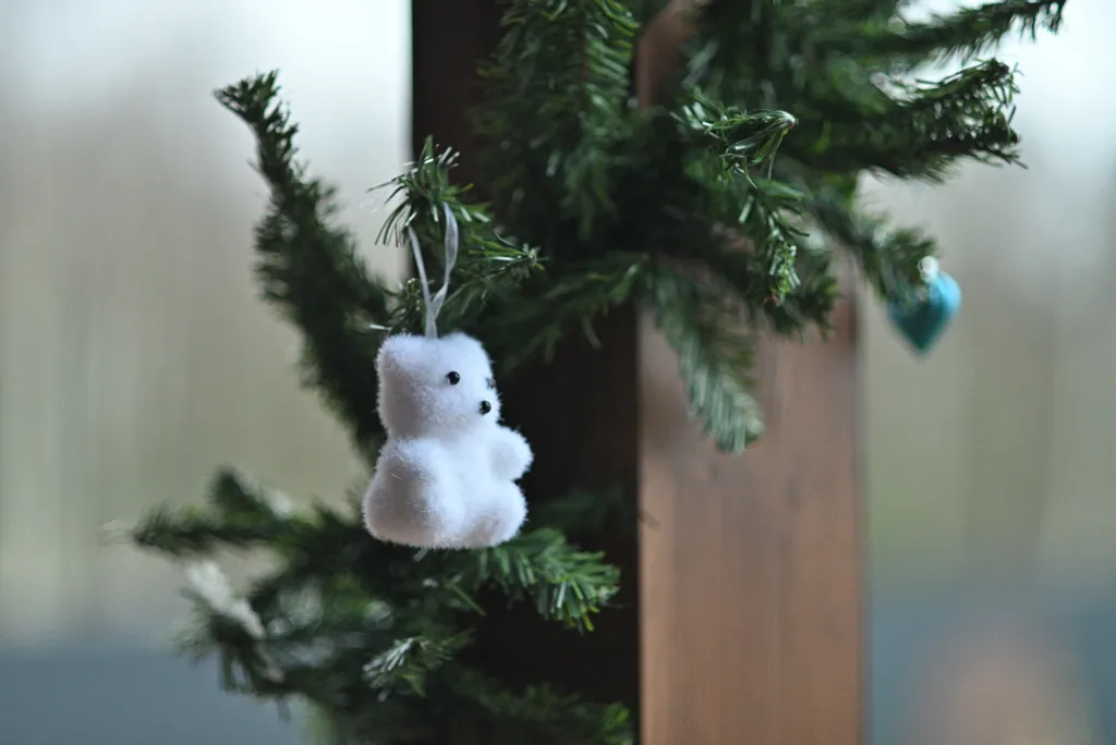 Роза Ветров