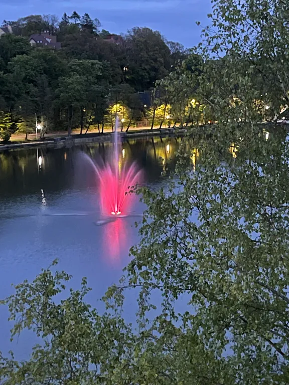 Уютная квартира с видом на озеро и сосновый лес