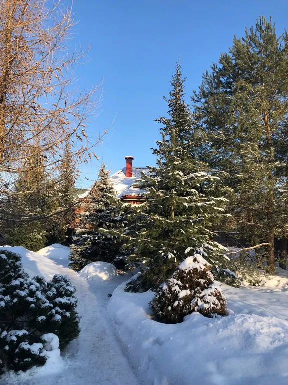 Дом у соснового леса