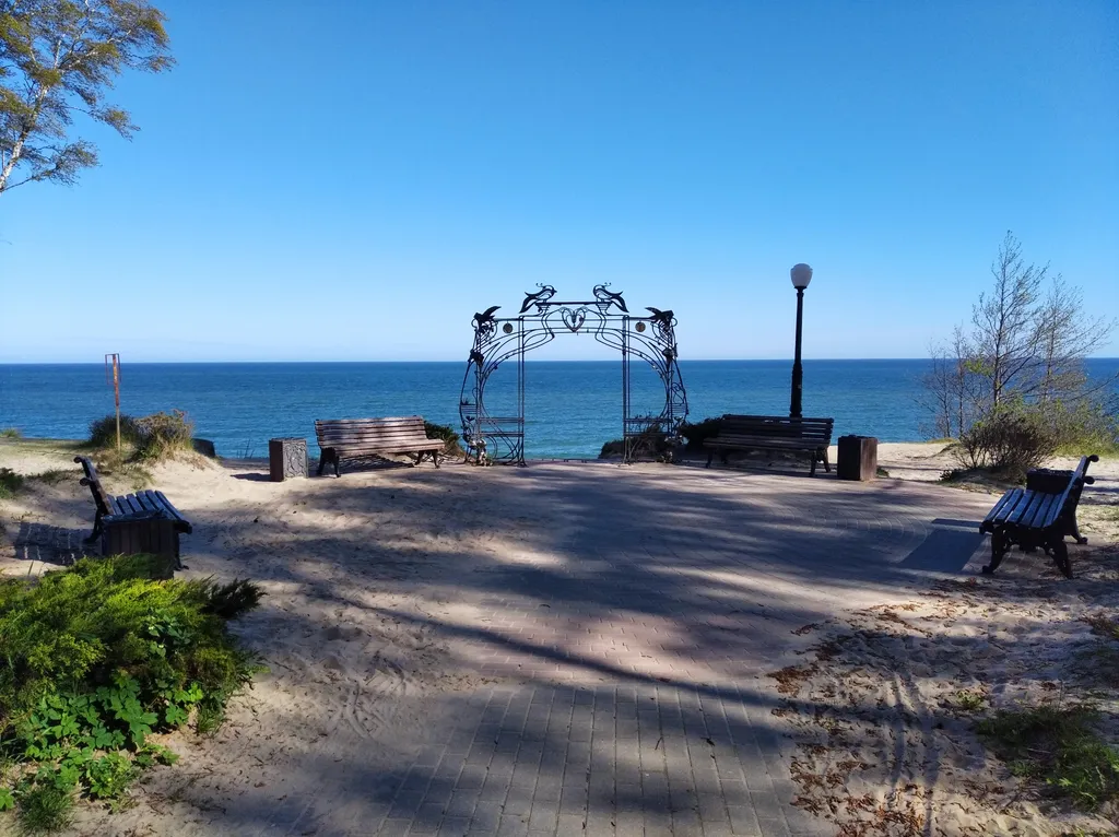 Первая линия у моря в сосновом бору