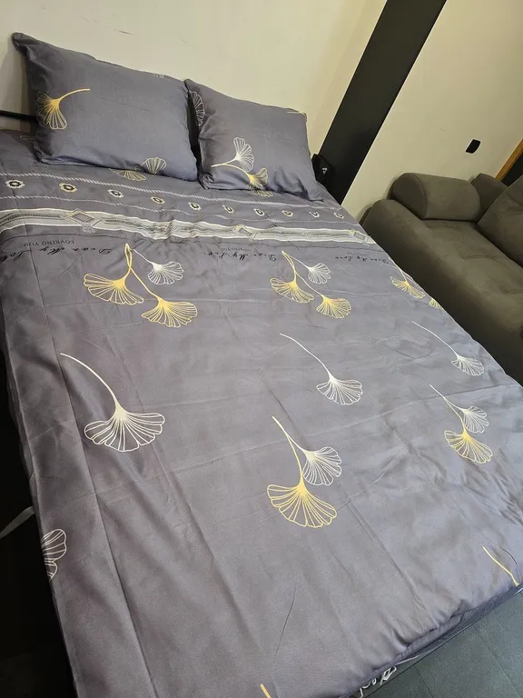 Дом Малевич