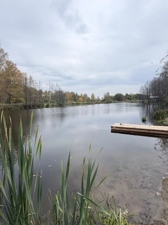 Уютный дом с панорамными окнами рядом с озером