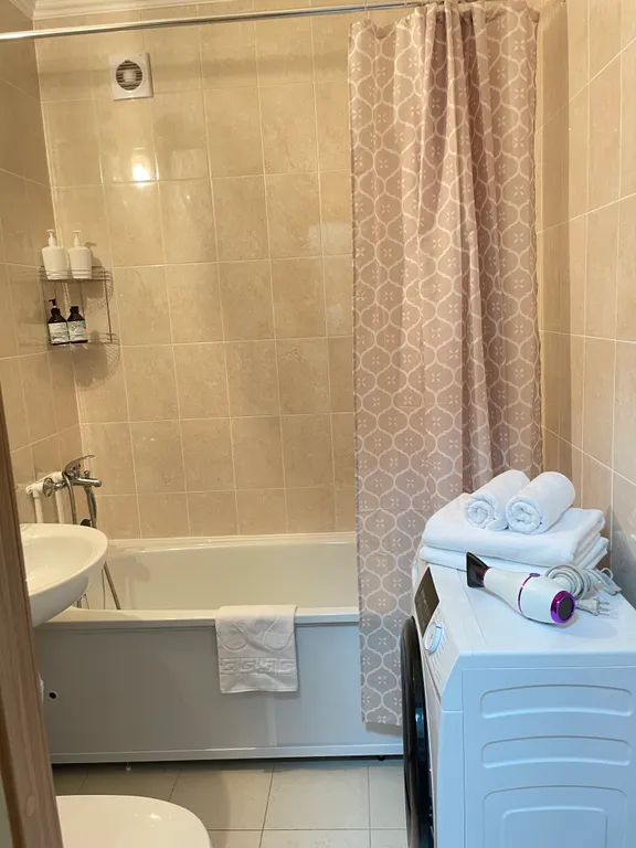 Квартира 1-комнатная Квартира — Песочный