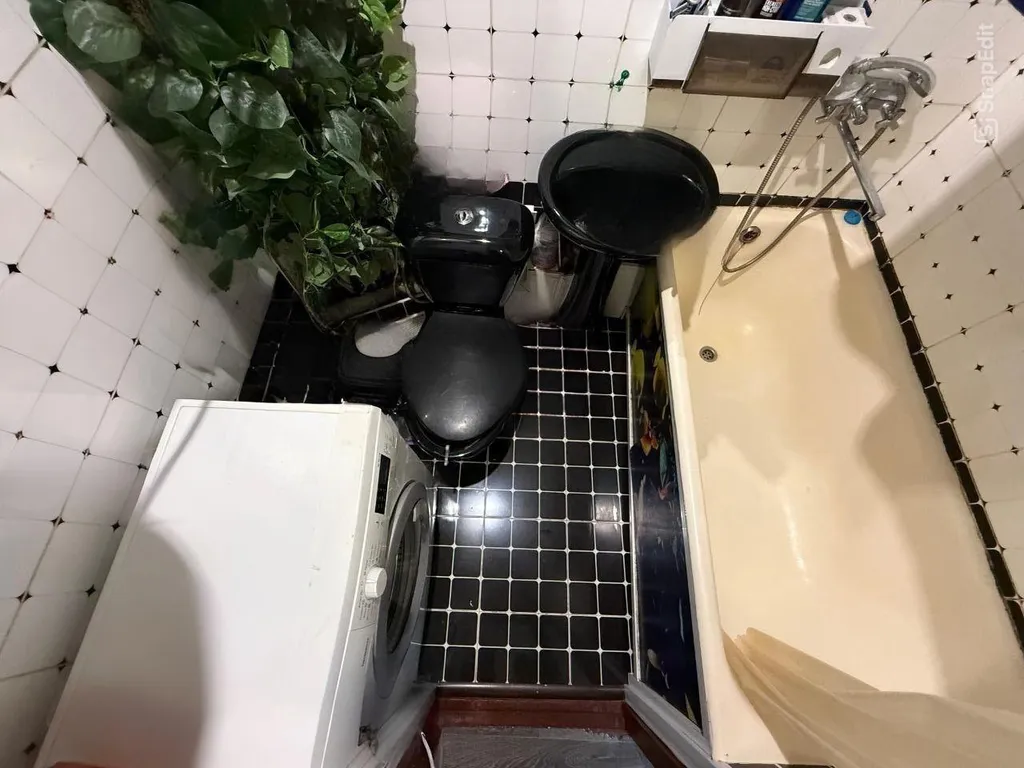 Квартира рядом с лесом и морем