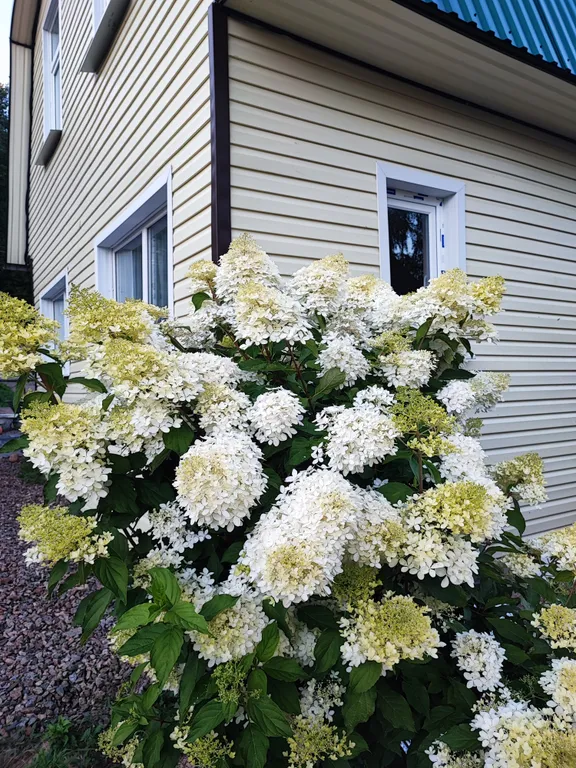 Домик в Токсово около озера