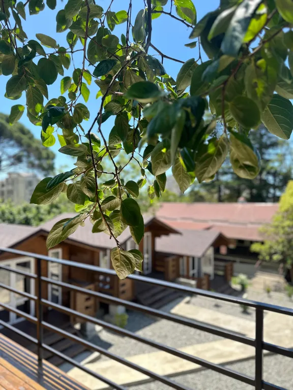 Квартира Комната — Гагра