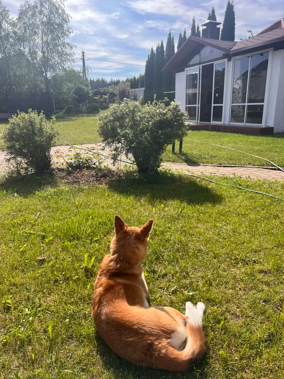 Anna Chalet Логойск