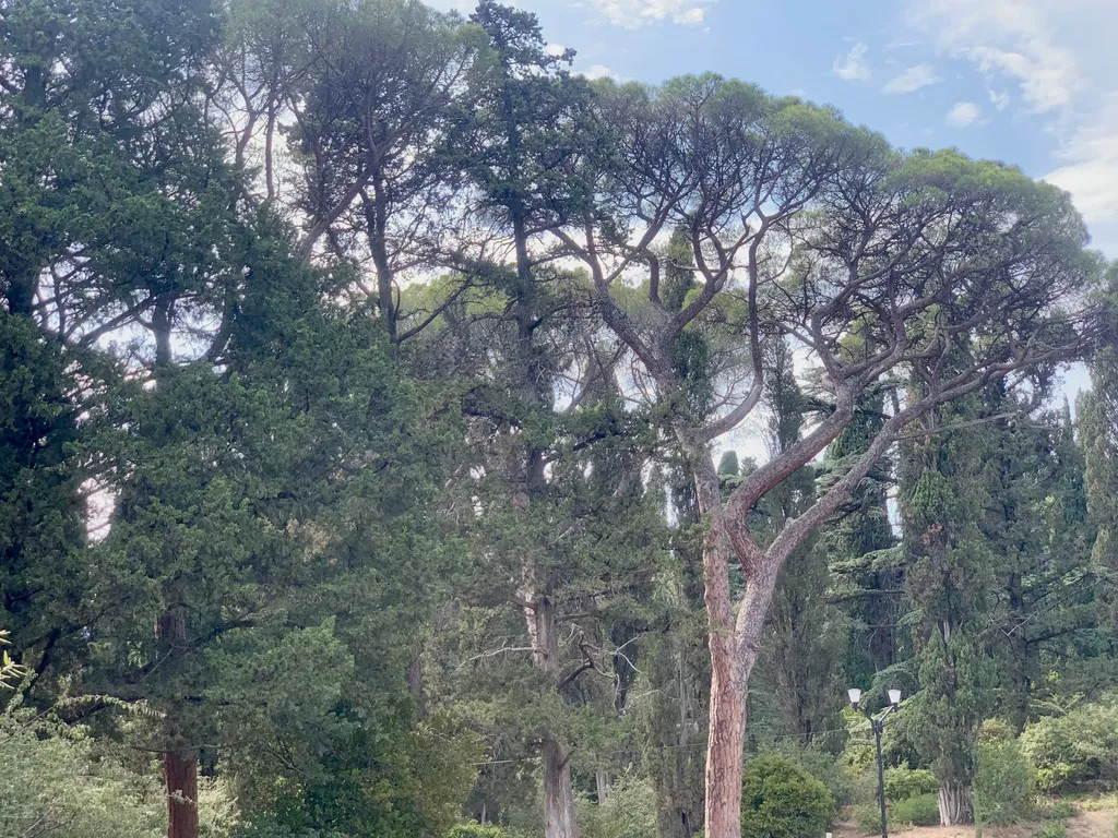 Отличный видовой пентхаус