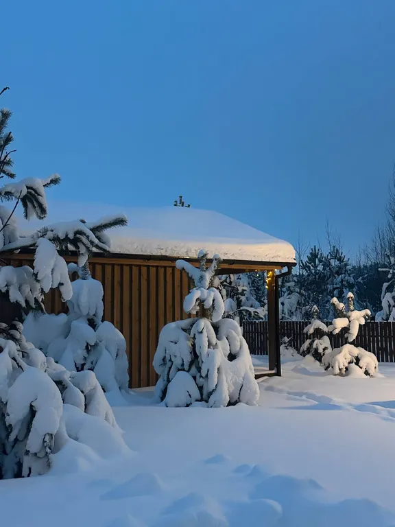 Уютный коттедж в лесу у пруда