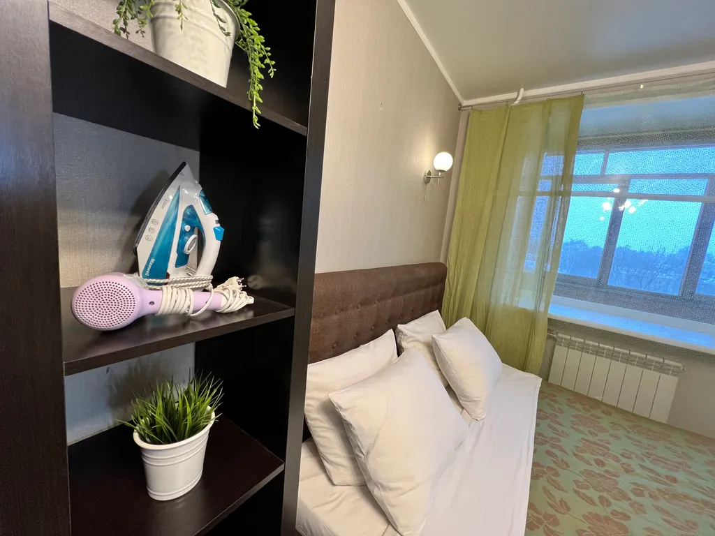 1-комнатная квартира в деловом и историческом центре города с новогодней елкой