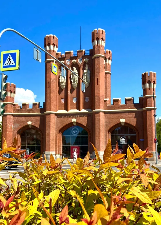 Квартира Уютная квартира в центре города — Калининград