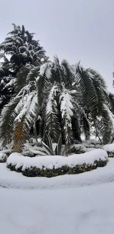 Квартира в центре Хосты в 10 мин до моря