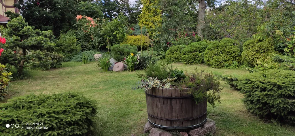 Уютная двухуровневая студия