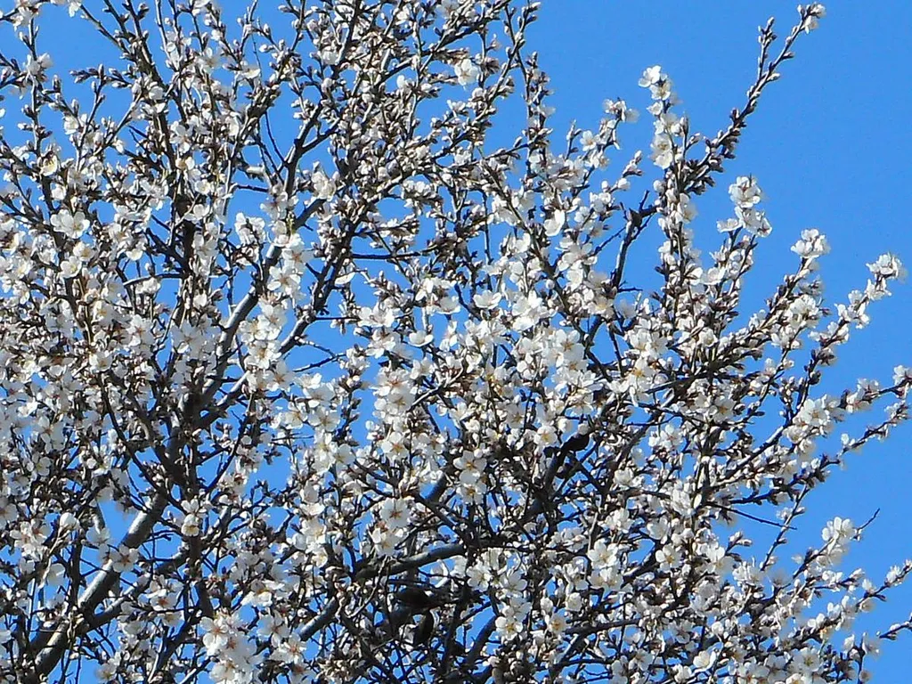 Уютная квартирка в солнечной Балаклаве