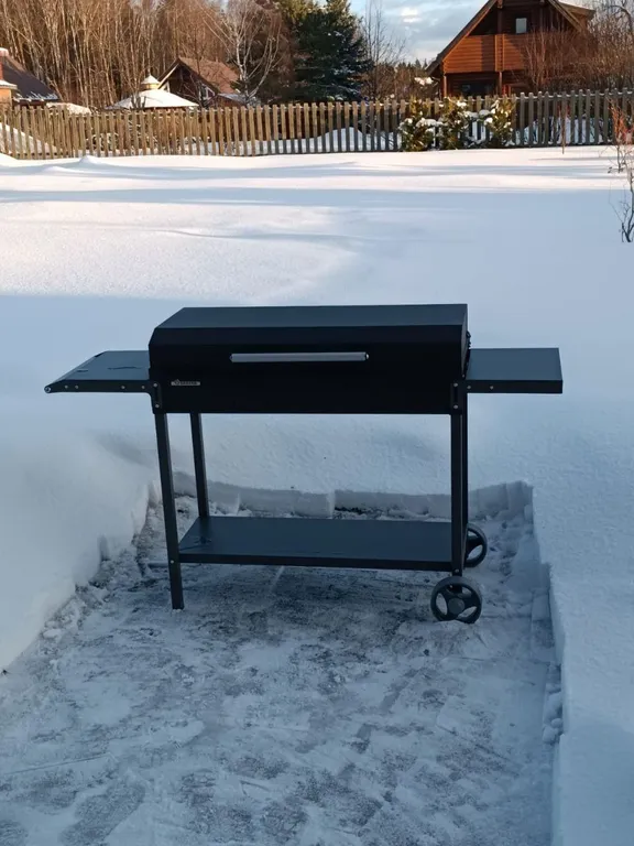 Боровики Хаус дом с камином