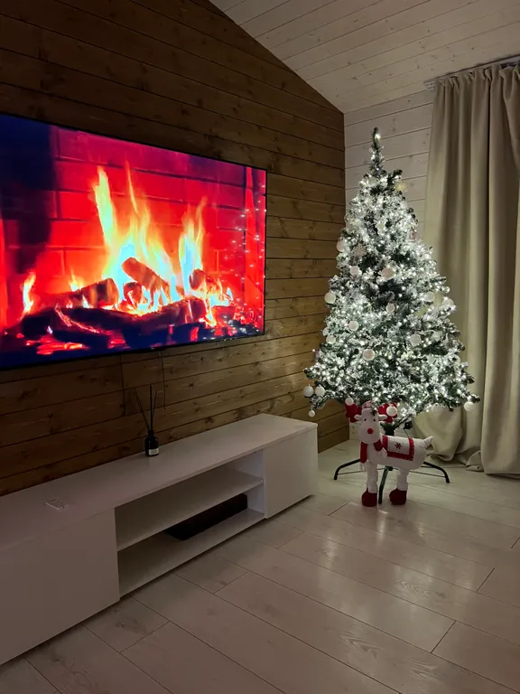 Модолицы хаус