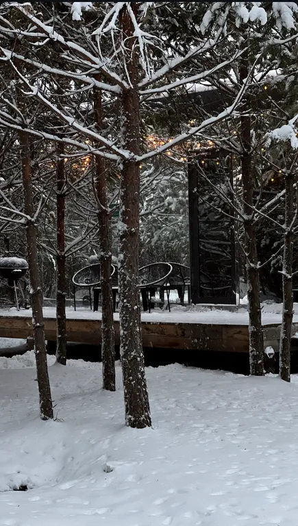 Зеркальный домик с видом на лес