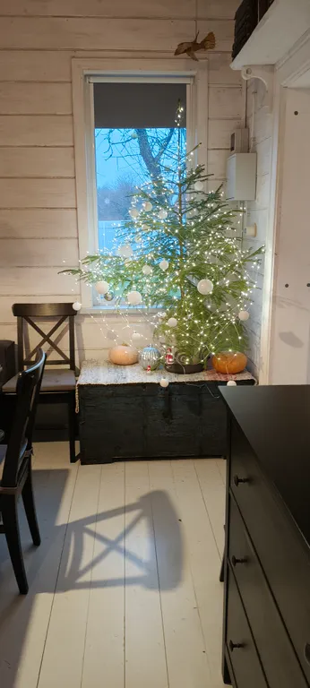 Таруса-отдых