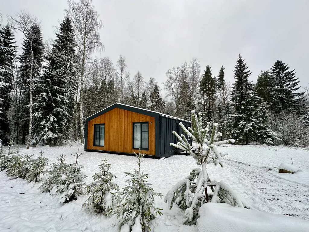 Дом с панорамными окнами в лес