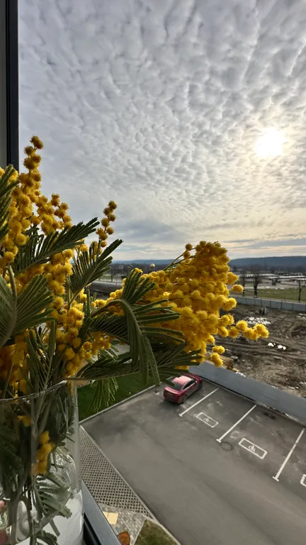 Квартира с видом на горы в новом ЖК Предгорье Лаго-Наки — аренда посуточно в Майкоп